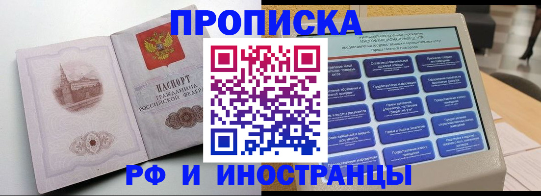 прописка поиск в Елизово